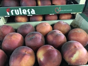 Продаем персики из Испании - <ro>Изображение</ro><ru>Изображение</ru> #2, <ru>Объявление</ru> #1366004