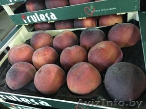 Продаем персики из Испании - <ro>Изображение</ro><ru>Изображение</ru> #3, <ru>Объявление</ru> #1366004
