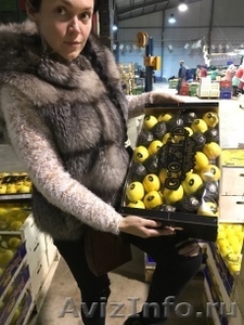 продаем лимон из Испании - <ro>Изображение</ro><ru>Изображение</ru> #5, <ru>Объявление</ru> #1337537