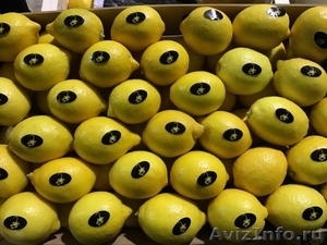 продаем лимон из Испании - <ro>Изображение</ro><ru>Изображение</ru> #2, <ru>Объявление</ru> #1337537
