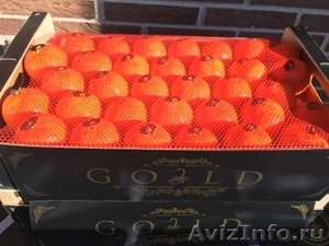 продаем мандарины из Испании - <ro>Изображение</ro><ru>Изображение</ru> #2, <ru>Объявление</ru> #1337526