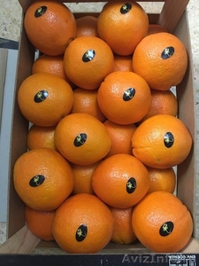 продаем апельсины из испании - <ro>Изображение</ro><ru>Изображение</ru> #1, <ru>Объявление</ru> #1337539