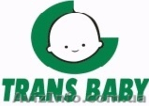 Продажа детских колясок Trans baby оптом и в розницу - <ro>Изображение</ro><ru>Изображение</ru> #9, <ru>Объявление</ru> #675772