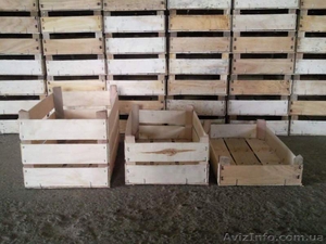 деревянные ящики из шпона(Евроящики) - <ro>Изображение</ro><ru>Изображение</ru> #2, <ru>Объявление</ru> #977017