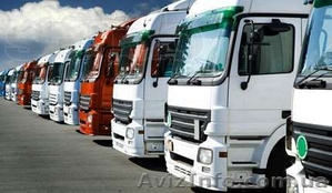 Грузоперевозки по Украине и Европе 