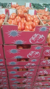продаем томаты из Испании - <ro>Изображение</ro><ru>Изображение</ru> #4, <ru>Объявление</ru> #1337546