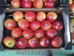 Продаем яблоки из Испании - <ro>Изображение</ro><ru>Изображение</ru> #2, <ru>Объявление</ru> #1406263