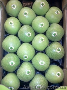 Продаем яблоки из Испании - <ro>Изображение</ro><ru>Изображение</ru> #3, <ru>Объявление</ru> #1406263