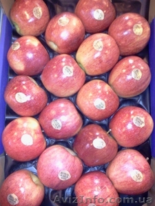 Продаем яблоки из Испании - <ro>Изображение</ro><ru>Изображение</ru> #4, <ru>Объявление</ru> #1406263