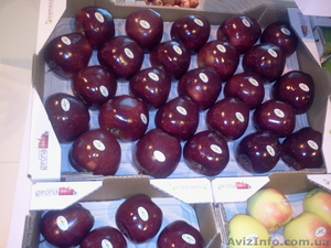 Продаем яблоки из Испании - <ro>Изображение</ro><ru>Изображение</ru> #5, <ru>Объявление</ru> #1406263