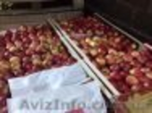 продам яблука різних сортів  - <ro>Изображение</ro><ru>Изображение</ru> #3, <ru>Объявление</ru> #1614330
