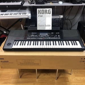 Продам синтезатор Korg PA300 - <ro>Изображение</ro><ru>Изображение</ru> #1, <ru>Объявление</ru> #1652758