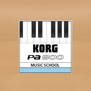 Продам синтезатор Korg PA-800 - <ro>Изображение</ro><ru>Изображение</ru> #3, <ru>Объявление</ru> #1712938