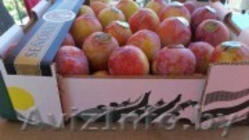 Продаем сливу из Испании - <ro>Изображение</ro><ru>Изображение</ru> #2, <ru>Объявление</ru> #1406260