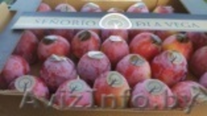 Продаем сливу из Испании - <ro>Изображение</ro><ru>Изображение</ru> #5, <ru>Объявление</ru> #1406260