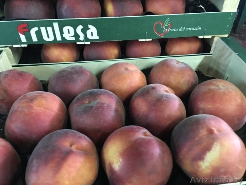 Продаем персики из Испании - <ro>Изображение</ro><ru>Изображение</ru> #2, <ru>Объявление</ru> #1366004