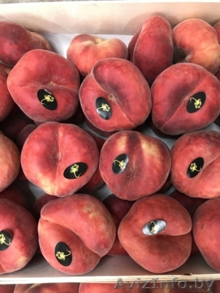 Продаем парагвайский персик из Испании - <ro>Изображение</ro><ru>Изображение</ru> #3, <ru>Объявление</ru> #1406258