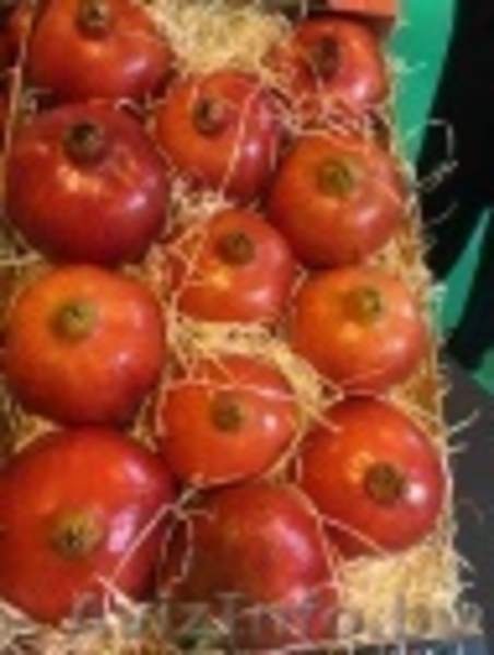 продаем гранат из Испании - <ro>Изображение</ro><ru>Изображение</ru> #1, <ru>Объявление</ru> #1337543