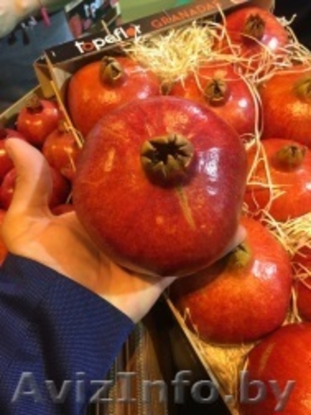 продаем гранат из Испании - <ro>Изображение</ro><ru>Изображение</ru> #2, <ru>Объявление</ru> #1337543