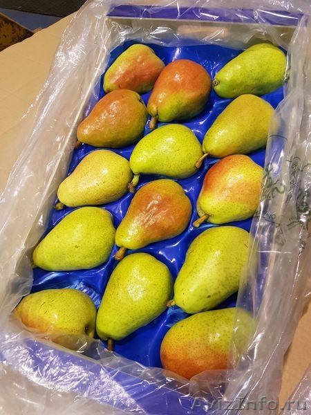 Продаю груши из Испании - <ro>Изображение</ro><ru>Изображение</ru> #5, <ru>Объявление</ru> #1406266