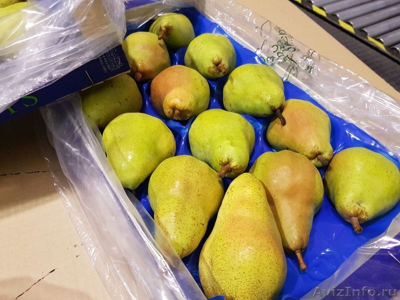Продаю груши из Испании - <ro>Изображение</ro><ru>Изображение</ru> #2, <ru>Объявление</ru> #1406266
