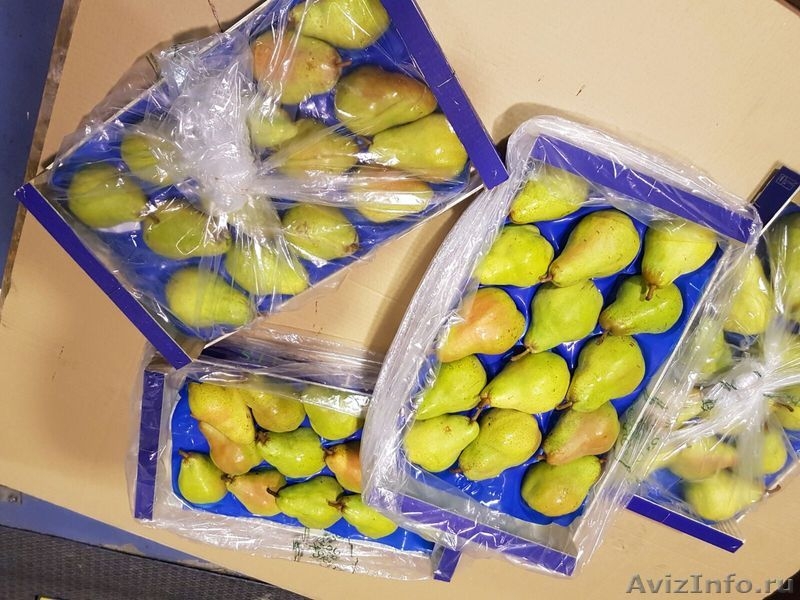Продаю груши из Испании - <ro>Изображение</ro><ru>Изображение</ru> #3, <ru>Объявление</ru> #1406266