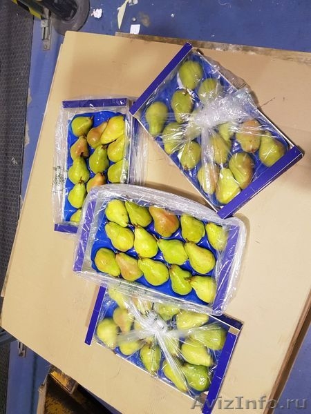 Продаю груши из Испании - <ro>Изображение</ro><ru>Изображение</ru> #6, <ru>Объявление</ru> #1406266