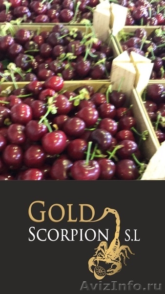Продаем черешю из Испании - <ro>Изображение</ro><ru>Изображение</ru> #5, <ru>Объявление</ru> #1366003