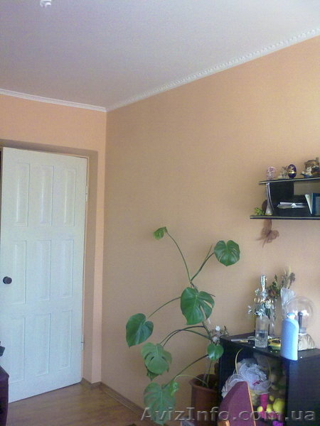 Кармелюка 81/10 - <ro>Изображение</ro><ru>Изображение</ru> #1, <ru>Объявление</ru> #37152