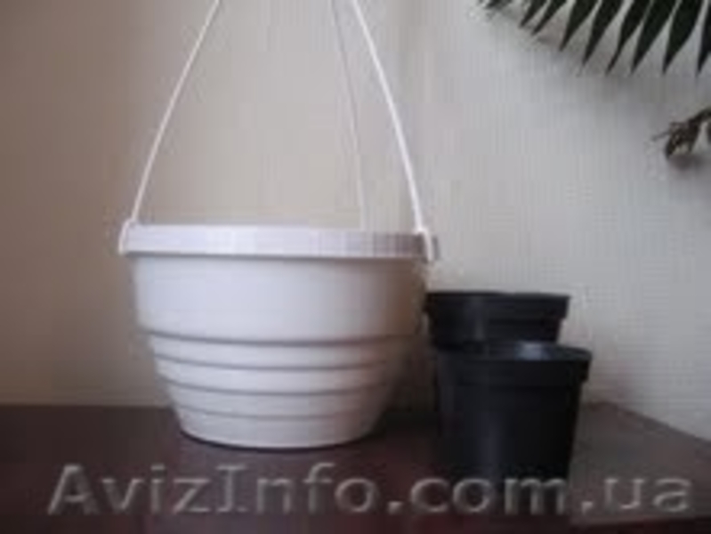 горшки для вечнозеленых - <ro>Изображение</ro><ru>Изображение</ru> #2, <ru>Объявление</ru> #72614