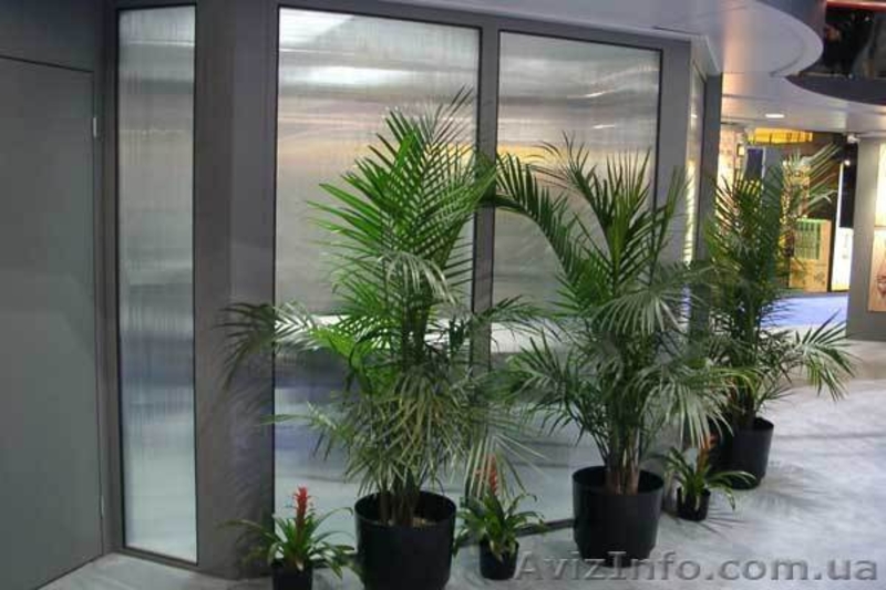 Поликарбонат сотовый и монолитный Palram Sunlite,Sunpal,Novattro, Polygal - <ro>Изображение</ro><ru>Изображение</ru> #6, <ru>Объявление</ru> #281915