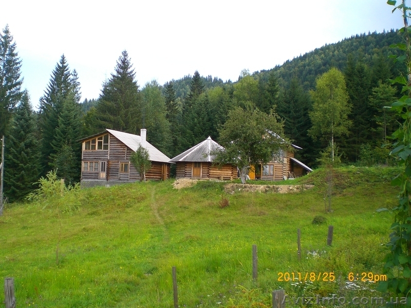 Зелёный отдых в Карпатах "У Димы" - <ro>Изображение</ro><ru>Изображение</ru> #1, <ru>Объявление</ru> #372905