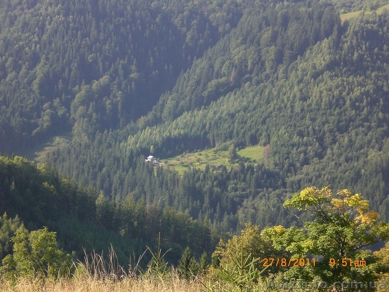 Зелёный отдых в Карпатах "У Димы" - <ro>Изображение</ro><ru>Изображение</ru> #2, <ru>Объявление</ru> #372905