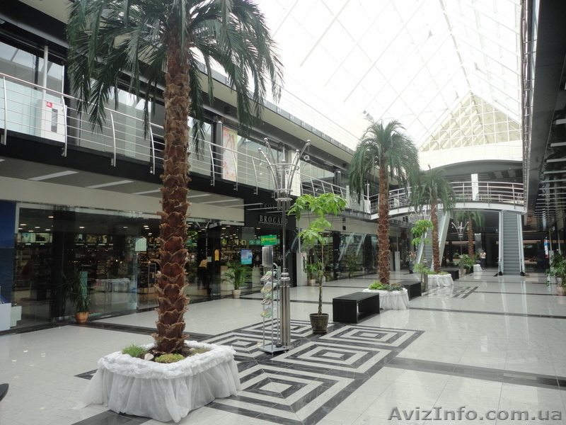 Реклама и PR  акции в ТРК Бояновка - <ro>Изображение</ro><ru>Изображение</ru> #1, <ru>Объявление</ru> #432652