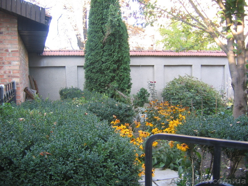 Продается дом в центре города - <ro>Изображение</ro><ru>Изображение</ru> #3, <ru>Объявление</ru> #91460