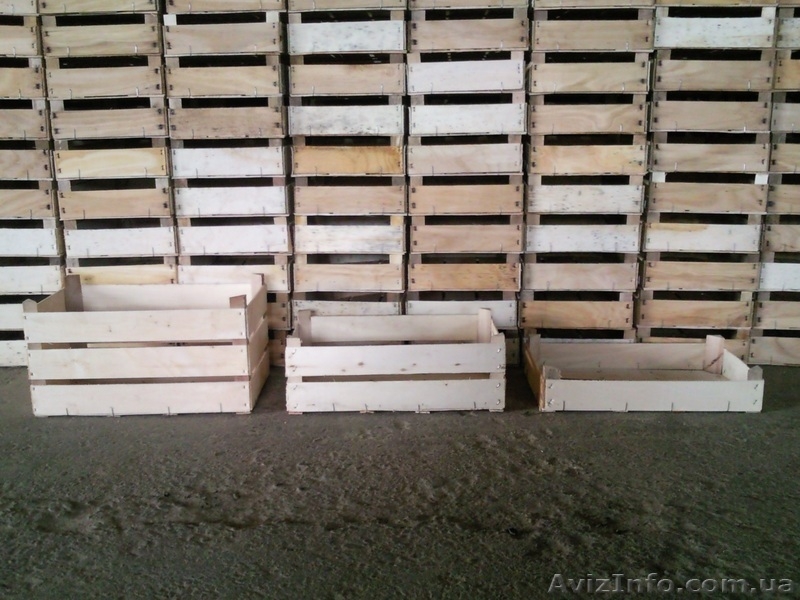 Евро-Ящик, Евро-Тара,Ящики деревянные - <ro>Изображение</ro><ru>Изображение</ru> #3, <ru>Объявление</ru> #687439
