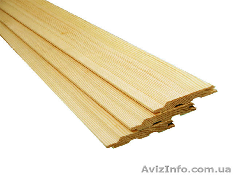 Лиственница сибирская Черновцы Украина - <ro>Изображение</ro><ru>Изображение</ru> #1, <ru>Объявление</ru> #153183