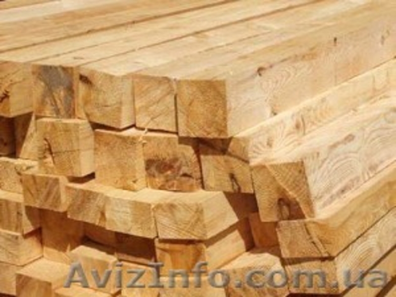 Лиственница сибирская Черновцы Украина - <ro>Изображение</ro><ru>Изображение</ru> #6, <ru>Объявление</ru> #153183