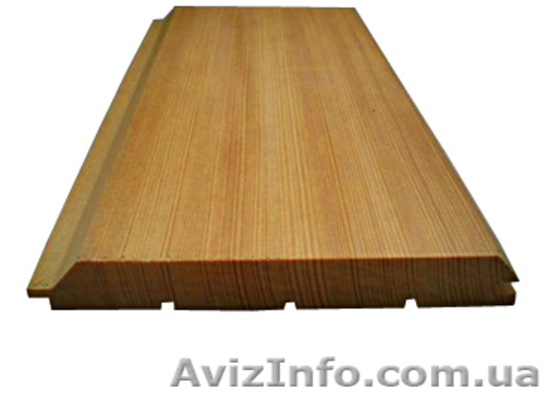 Лиственница сибирская Черновцы Украина - <ro>Изображение</ro><ru>Изображение</ru> #5, <ru>Объявление</ru> #153183