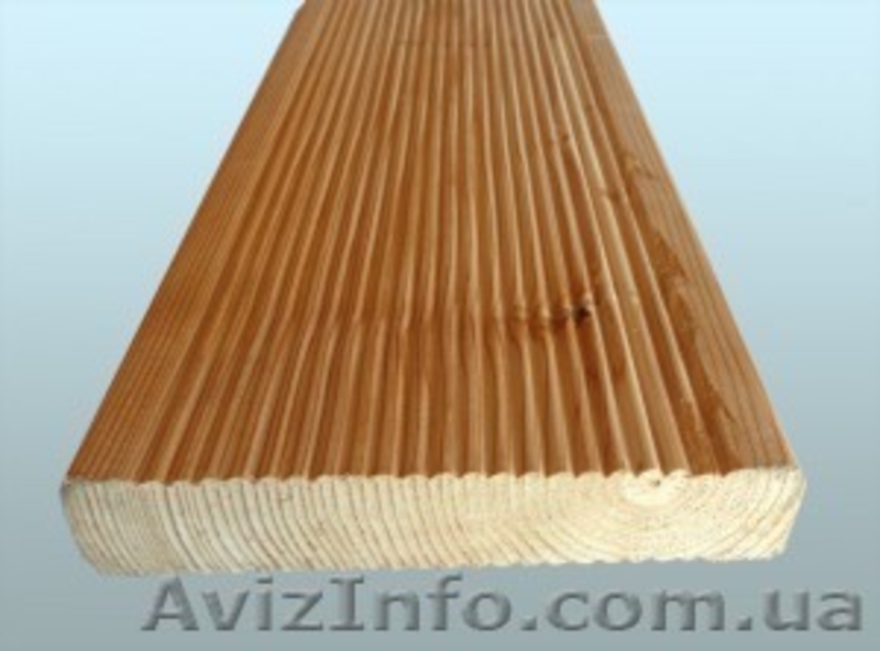 Лиственница сибирская Черновцы Украина - <ro>Изображение</ro><ru>Изображение</ru> #3, <ru>Объявление</ru> #153183