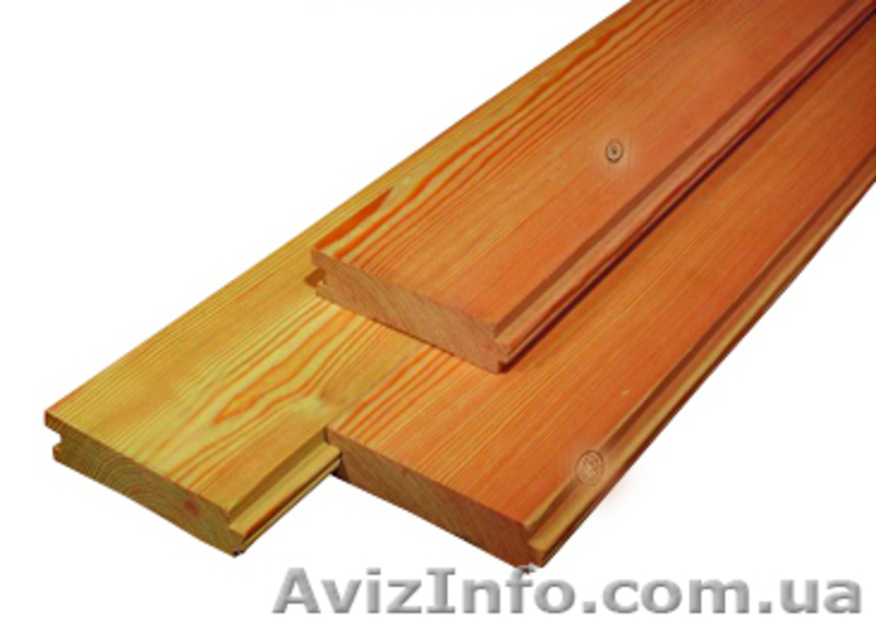 Лиственница сибирская Черновцы Украина - <ro>Изображение</ro><ru>Изображение</ru> #2, <ru>Объявление</ru> #153183