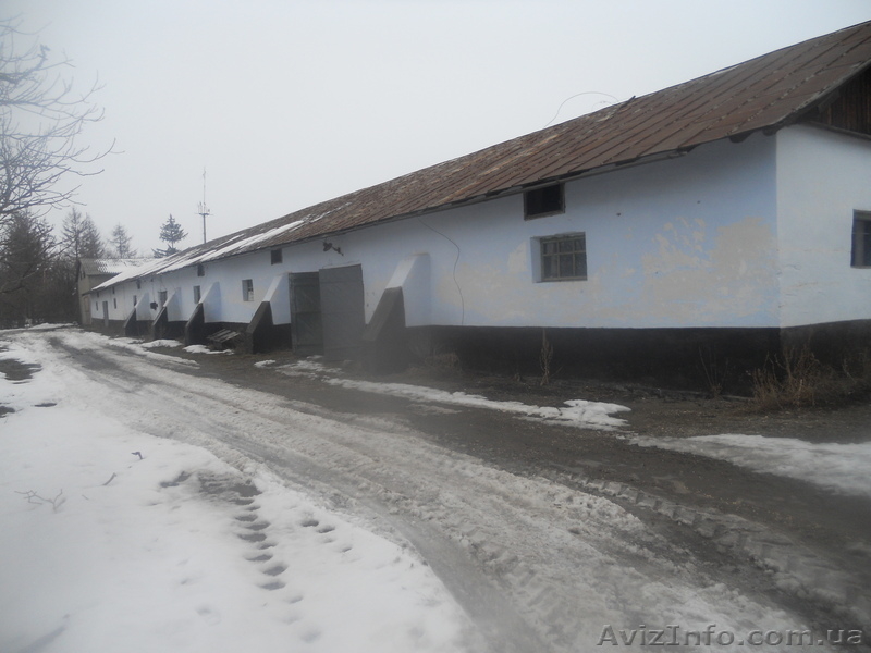 комерческая недвижымость - <ro>Изображение</ro><ru>Изображение</ru> #7, <ru>Объявление</ru> #501363