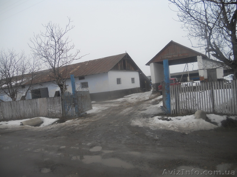 комерческая недвижымость - <ro>Изображение</ro><ru>Изображение</ru> #6, <ru>Объявление</ru> #501363