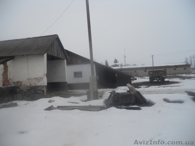 комерческая недвижымость - <ro>Изображение</ro><ru>Изображение</ru> #8, <ru>Объявление</ru> #501363