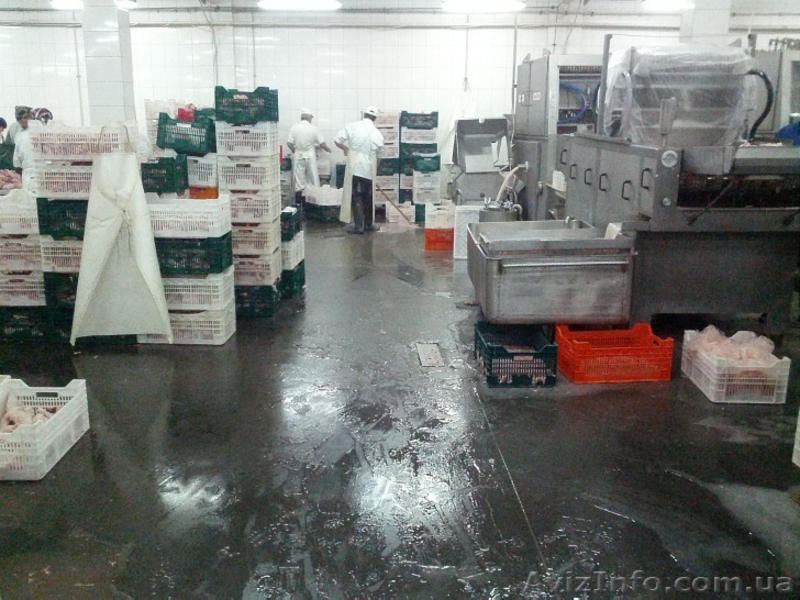 промислова підлога - <ro>Изображение</ro><ru>Изображение</ru> #3, <ru>Объявление</ru> #948406