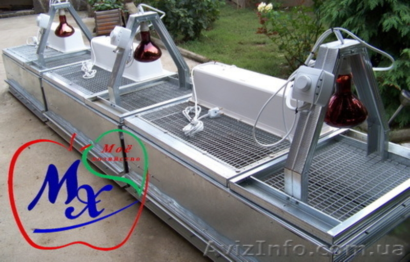 Клеточное оборудование для перепелиного хозяйства на 1000 голов. - <ro>Изображение</ro><ru>Изображение</ru> #2, <ru>Объявление</ru> #975648