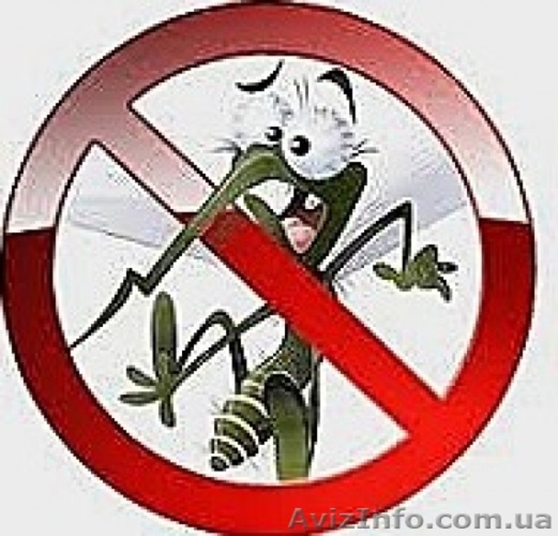 Москитные сетки-Лучшая защита от комаров и других вредных насекомых - <ro>Изображение</ro><ru>Изображение</ru> #1, <ru>Объявление</ru> #989259