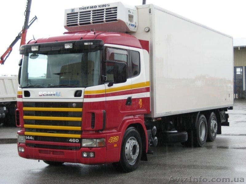 Грузоперевозки рефрижератором по Украине, Европе, странам СНГ - <ro>Изображение</ro><ru>Изображение</ru> #3, <ru>Объявление</ru> #1010702