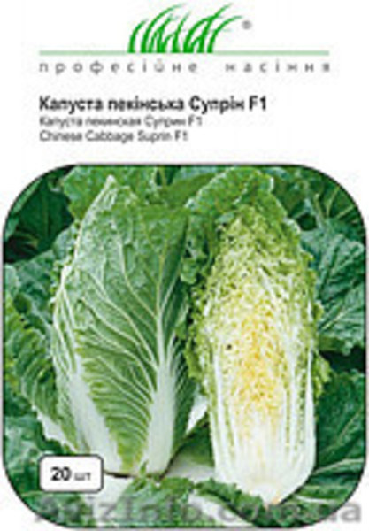 Сан Саннич - <ro>Изображение</ro><ru>Изображение</ru> #2, <ru>Объявление</ru> #1016398