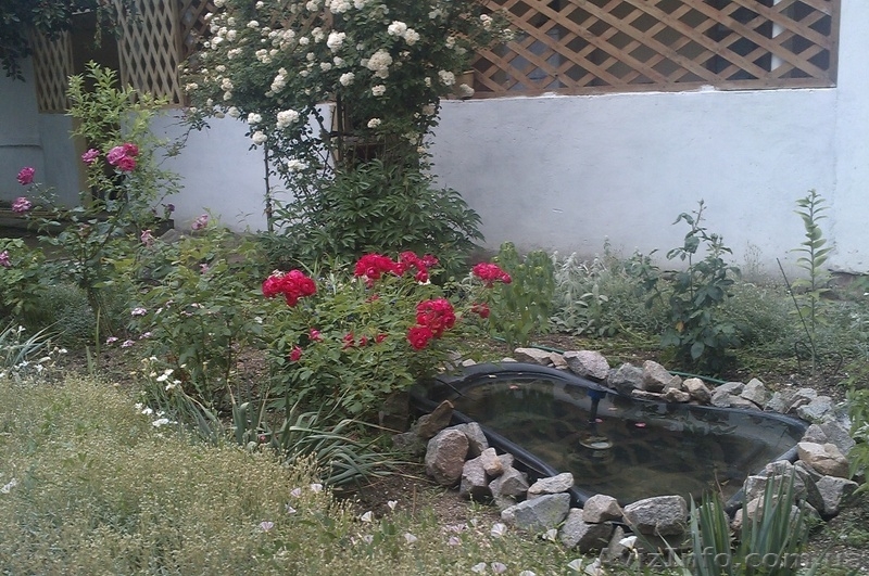 Отличный отдых на Азове п.Генгорка по экономным ценам - <ro>Изображение</ro><ru>Изображение</ru> #2, <ru>Объявление</ru> #1118658